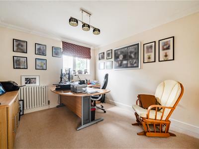 Picture 8